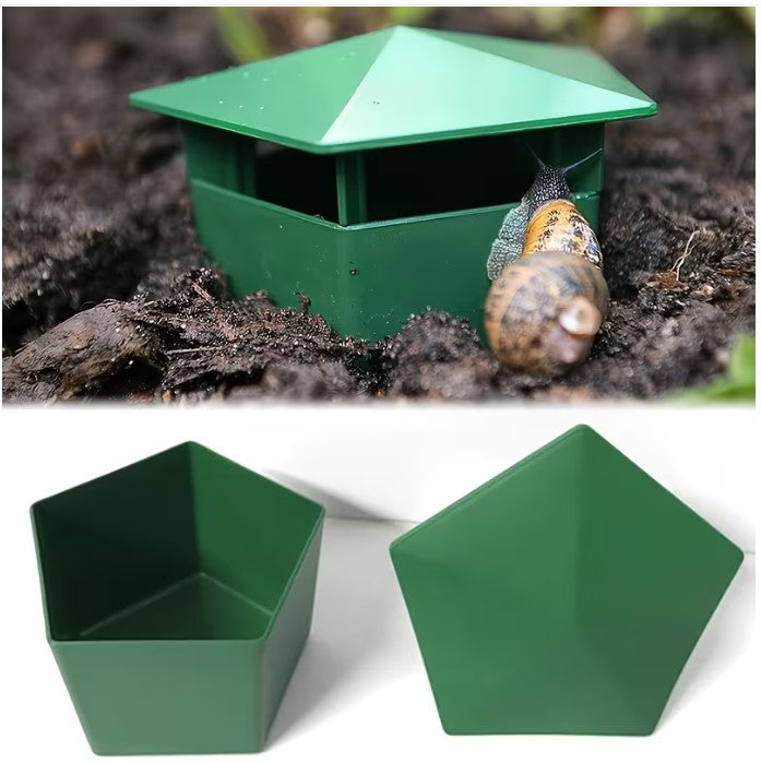 Snail Trap Green