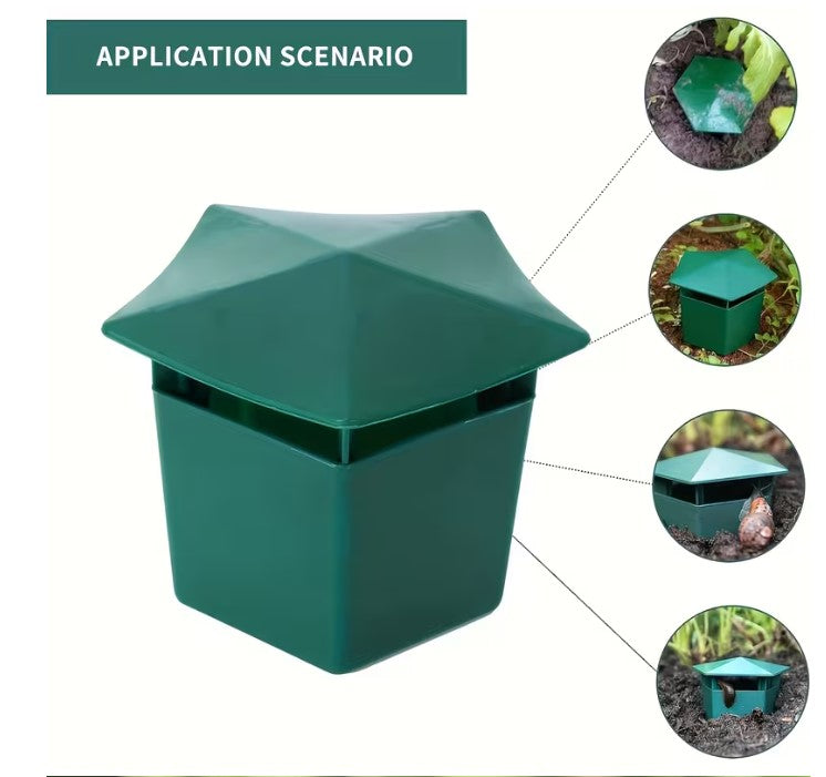 Snail Trap Green