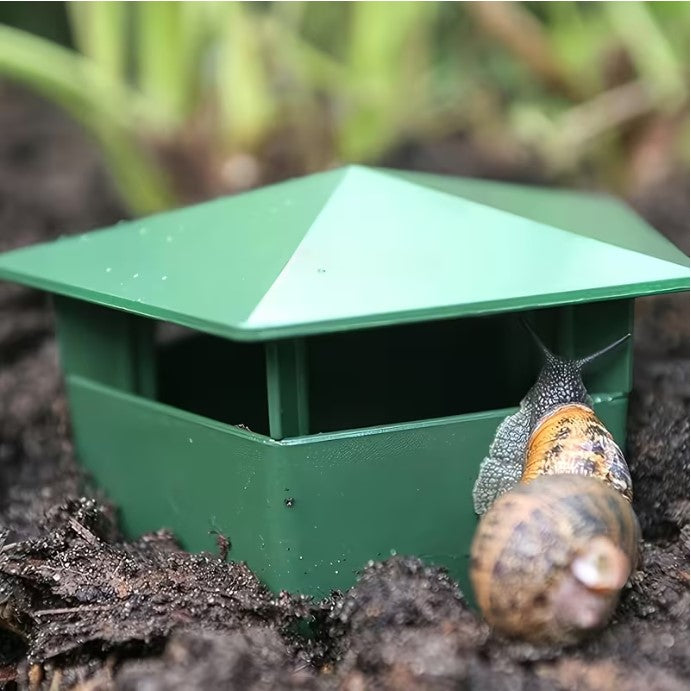 Snail Trap Green